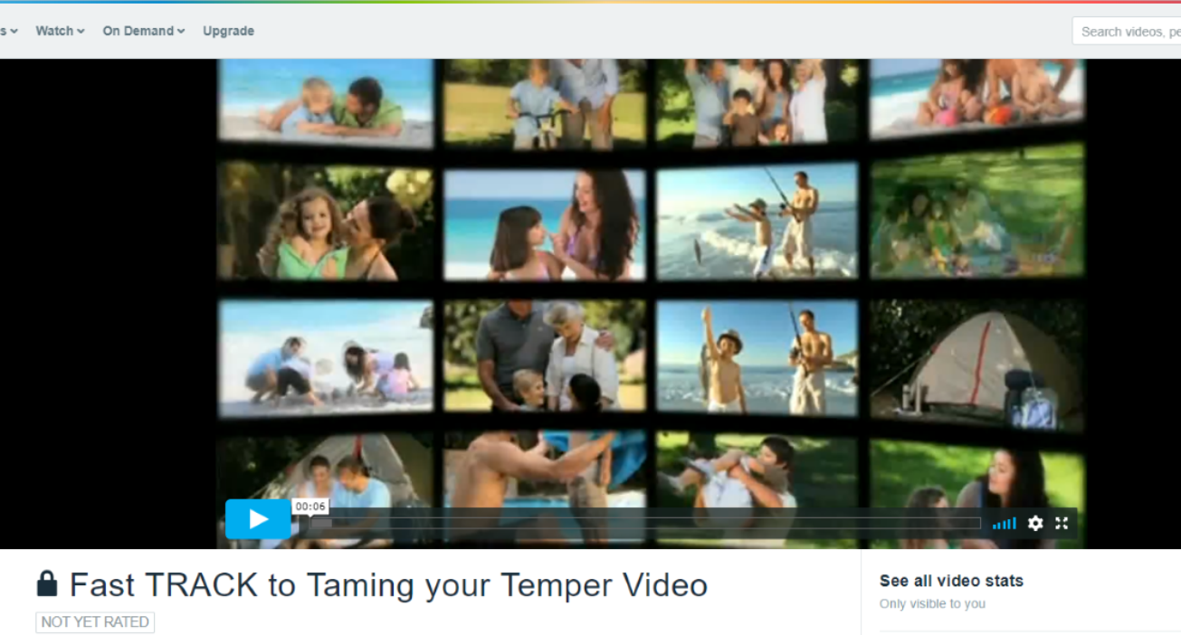 Vimeo Fast track video pic