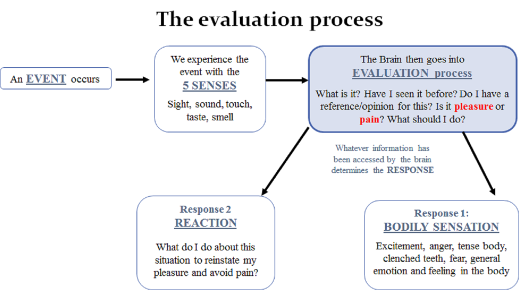 Evaluation Process Large