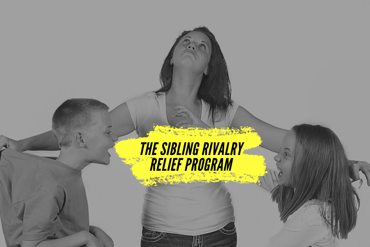 The Sibling Rivalry Relief Program pic 4
